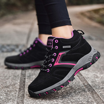 Autumn and winter middle-aged mother sports casual shoes elderly shoes women non-slip soft sole comfortable outdoor elderly walking shoes