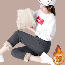 Lamb cashmere sweatpants womens autumn and winter loose cotton pants wear plus velvet padded casual pants winter warm trousers