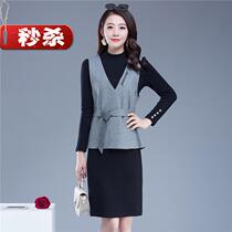 2021 Leritina JR0756 Jinbin 2020 autumn and winter New slim two-piece suede horse clip dress