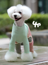 Bao Dependents Pet Dog Dog Spring And Autumn Clothes Teddy Bibi Bear Snownery Pooty Puppy Cat T-shirt Ice Cream Color