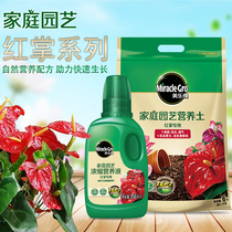 Melody tree Anthurium type special nutrient soil home gardening planting soil office potted green plant nutrition liquid fertilizer