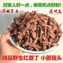 2021 New northeast specialty selected cut root wild red mushroom
