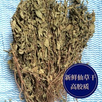 Dried Fairy grass Fresh grass Dried high gum black jelly grass Burned fairy grass Raw material Fairy grass Honey Fairy grass Frozen grass Kway grass