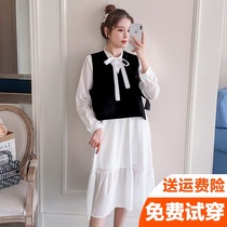 Pregnant women spring 2021 new chiffon long-sleeved real two pieces pregnant women out nursing dress loose medium-long section