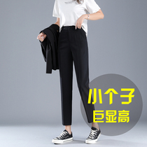 Suit pants womens summer straight loose 145 small man eight-point pants short 150 Spring and Autumn nine-point Haren pants