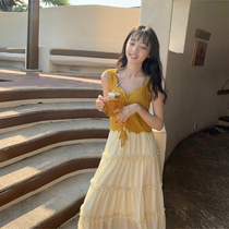 SYT hollow knitted vest womens retro sweet strap slim-fit top French chic all-match bottoming pony armor