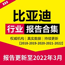 2022 BYD Corporate Brand Business Layout Market Current Research Prospects Trend Analysis Industry Reports