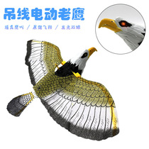 Simulation of the string bird can fly the bird Eagle glowing sound electric drop Eagle toy wholesale