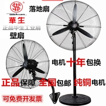 Watson electric fan Industrial strong vertical shaking head floor fan High power horn fan Factory barbecue wall hanging fan