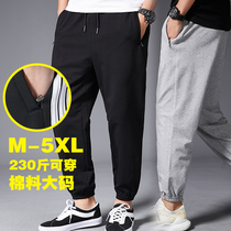 Grey Knit Sports Pants Male Summer Thin Korean version Trend loose 100 Lap Pants 90% Casual Wear Pants