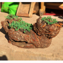 Solid Wood flowerpot pot multi-shaped tree root weathered wood trumpet flower outdoor balcony window meat small potted