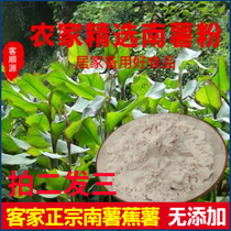  Hakka specialty handmade plantain taro powder Authentic southern potato powder Farm non-added banana potato powder 500g