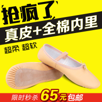 Summer leather dance shoes female adult ballet shoes dancing shoes female children soft bottom breathable yoga shoes cat claw shoes