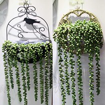 Semi-wall hanging flower pot grass woven hanging basket Creative hanging hanging orchid hanging rattan woven semi-round hanging wall hanging wall decoration