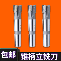 Hard Alloy Taper Angled Blade Vertical Milling Cutter (Large)