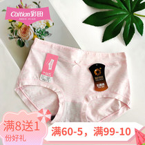 Colour Field Briefs Female Cotton Modale Blend Fabric Medium Waist Flat Angle Graphene Bilayer Bacteriostatic Bottom Wave Fresh