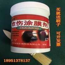 Tree wound healing agent Big Tree coating agent fruit tree tree grafting wound universal healing agent green bully