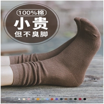 Pure cotton socks womens tube socks spring and autumn new Korean cute Japanese black ins tide cotton pile socks women