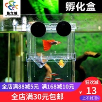 Incubator Fry breeding box acrylic guppies incubator isolation box juvenile fish Betta box trumpet
