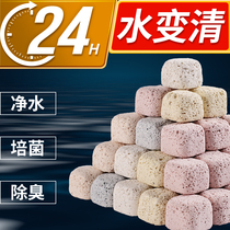 Shepherd Fish Tank Filter Material Filter Ceramic Ring Nano Quartz Ball Aquarium Bacon Ball Fish Tank Filter Material