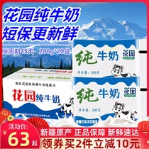  Soft pack New date Xinjiang Garden pure milk 200g*20 bags Short warranty 45 days room temperature Junken pure milk