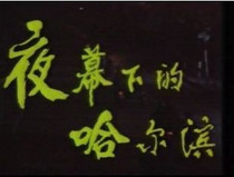 DVD version Harbin at night] Lin Yuanxin Xing Long 13 episodes 2 discs