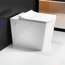 Japan Fujisawa No tank toilet Home Small family Type washroom Ceramic water saving toilet Toilet Bowl PULSE