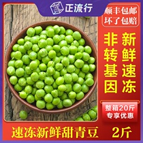 Frozen green bean grain 4kg mixed vegetable pea sweet green bean frozen fresh pea raw green bean grain nutritious vegetable vegetable
