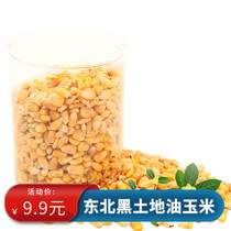 Oil Corn 0 Add Nutritional Health Pet Dragon Cat Squirrel Hamster Hamster Dutch Pig Grinding Tooth Snacks