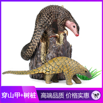Simulation animal model solid plastic pangolin wild animal toys male children cognitive stump bookshelf ornaments