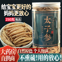 Chinese herbal medicine 250g children ginseng ginseng children no smoked sulfur no wild Pseudostellaria no special grade 500g