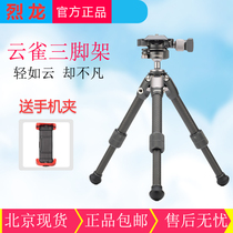 LENNON Dragon Skylark Mini Tripod Micro Single SLR Travel Light Portable Mobile Phone Desktop Tripod