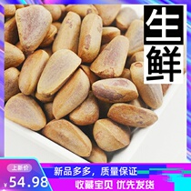 Northeast Daxinganling Wild Tiansheng pine nuts red pine nuts 500 grams do not open Yichun pine nuts