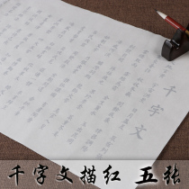  Thousand-character small regular-character post Liu Gongquan Regular-style brush Calligraphy Copying tracing red Rice paper Introductory Exercise Page for Chinese Studies