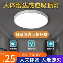 Smart Absorbent Lamp LED Aisle Corridor Lamp Stair Lamp Night Fluent Voice Control Lotar Human Sensed Lamp