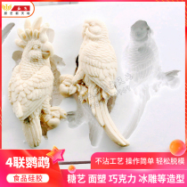 Sugar art mold creative plate decoration sugar art watering mold sugar art Tools 4 even parrot mold