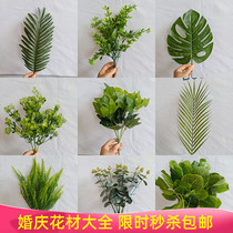 Green planting single branch small flower wedding gift window decoration simulation flower apple leaf turtle back leaf Banyan tree leaf Persian leaf