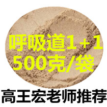 High King Macro Respiratory 1 1 Racing Pigeon Pigeon With A Cold With Cough And Asthma Not To Fly Red Black Nose Fly not high