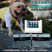  French Dermoscent Paiodian dog repair skin purification drops Fungal pus skin mites