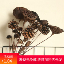 Chinese Yongsheng dried Hualien fluffy dried fruit branches Plant wall decoration Indoor and outdoor set Floral photography props Flowers