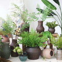 Simulation green plant fern leaf grass sensual family indoor office room shop folk shop window decoration pendulum piece