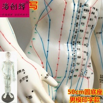 Acupuncture model can be used to acupoint human model large body Meridian map tendon back home massage