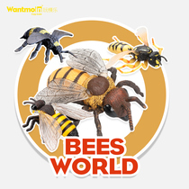 Wantmoin play model simulation insect model childrens toy bee male bee queen bumblebee wasp specimen