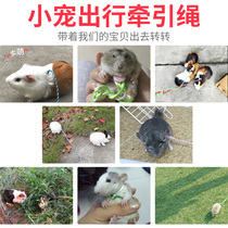 Pet squirrel traction rope Walking rabbit slip rat rope Puppy dog Cat Hamster Rabbit supplies Guinea pig Dutch pig rope