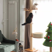 catsle cat climbing solid wood ecological board through the sky post space capsule sisal cat nest to keep warm top heaven and earth cat tree