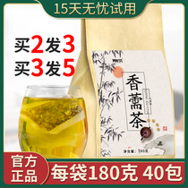 Elsholtzu tea Huoxiang and Perrin tea Tongrentang Elsholtzu drink 10 grams to Chinese herbal medicine fragrant Rubro bamboo leaf halitosis