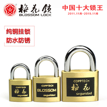 Plum blossom lock European thick hot die-casting waterproof rust and anti-corrosion workshop warehouse door cabinet copper padlock
