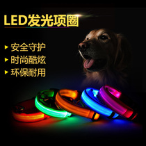Pull dog dog collar glowing large medium and small dogs and cats dog collar Teddy Bears golden fur pet supplies neck cover