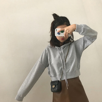 Small sweater 2019 new womens short-sleeved Korean version wild gray thin section chic early autumn lazy top