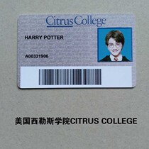 Personality Customized Entertainment Card American Sillers College Student Card Animation COS Props Campus Card